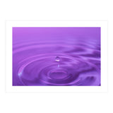 Nature (Print Only) thumbnail
