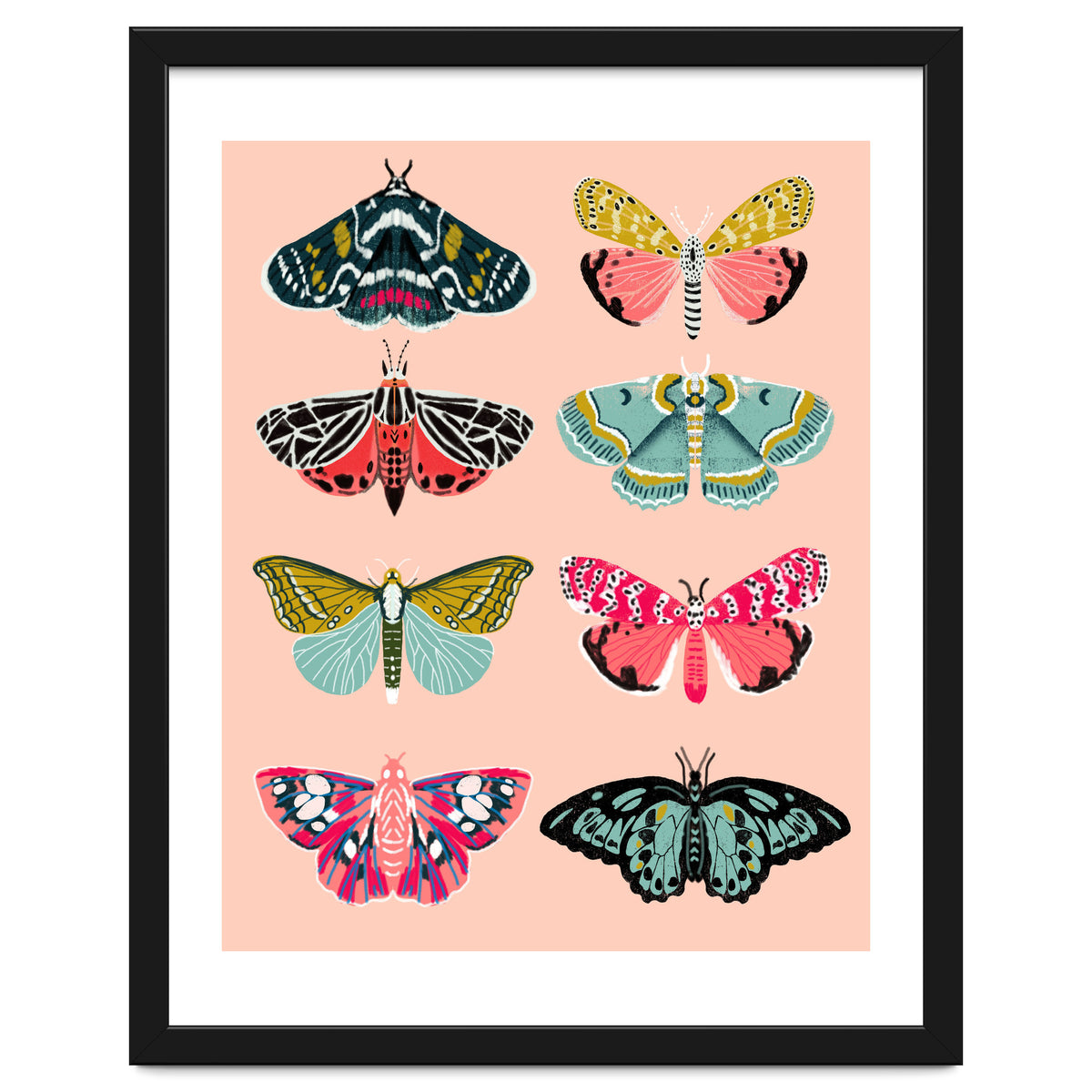 Lepidoptery No. 1