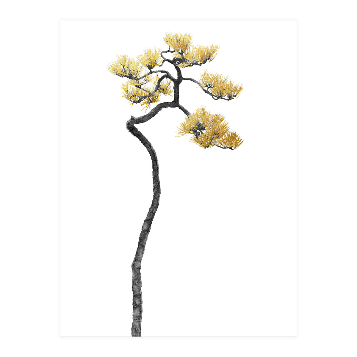 Bonsai Tree 05 (Print Only)