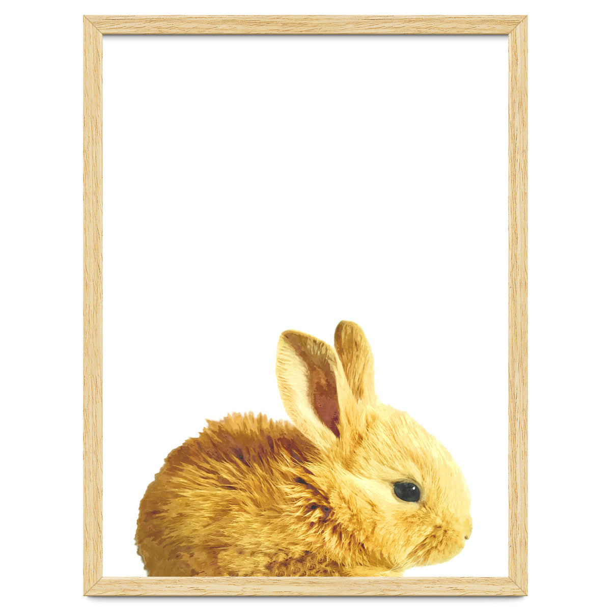 Bunny Portrait