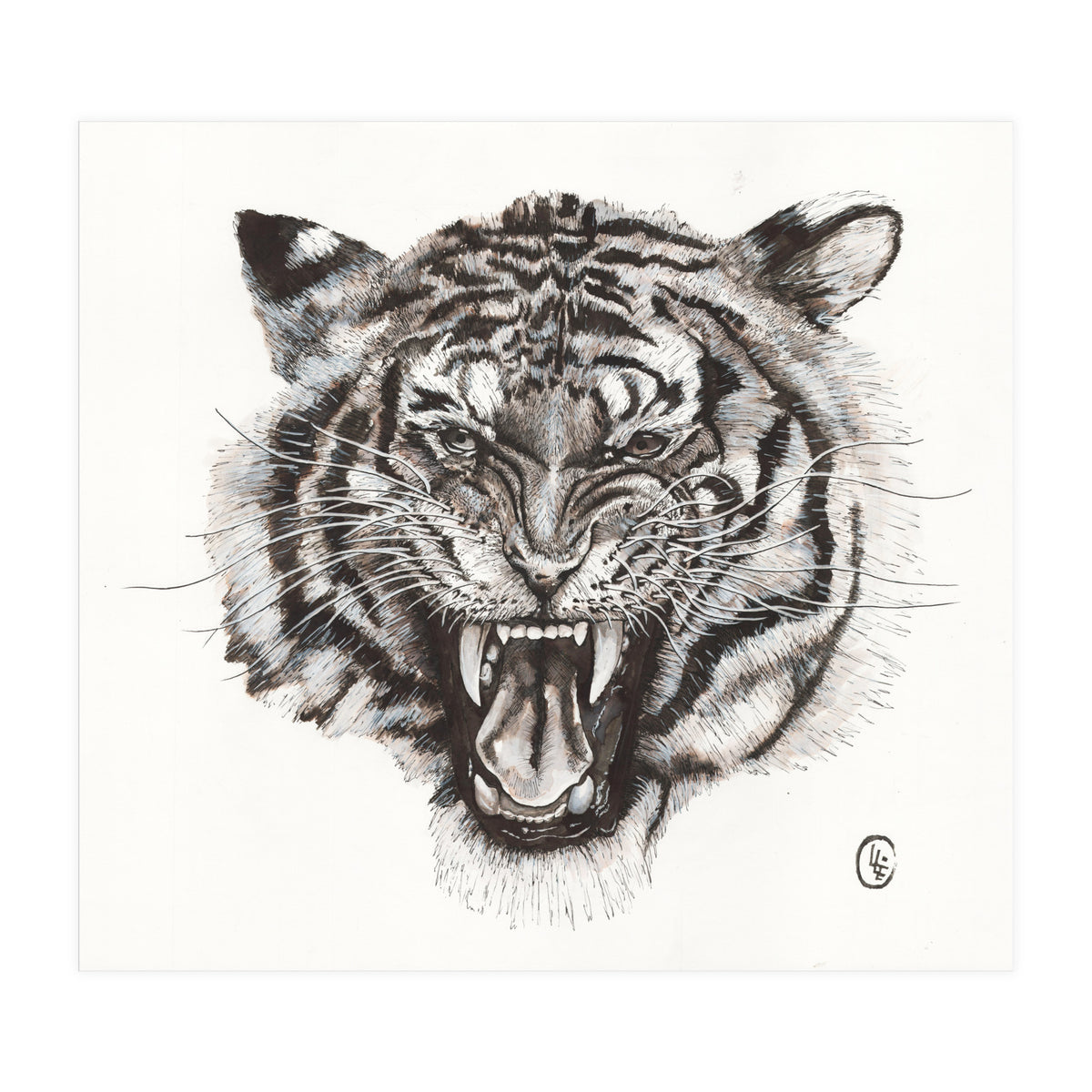 Tiger (Print Only)