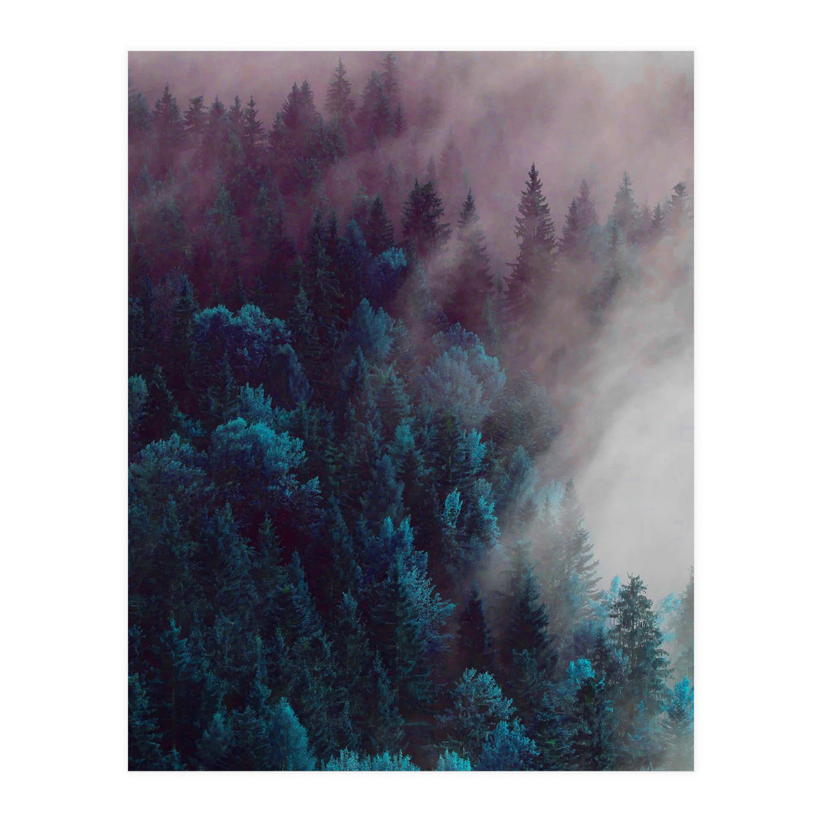 Anywhere You Go (Print Only)