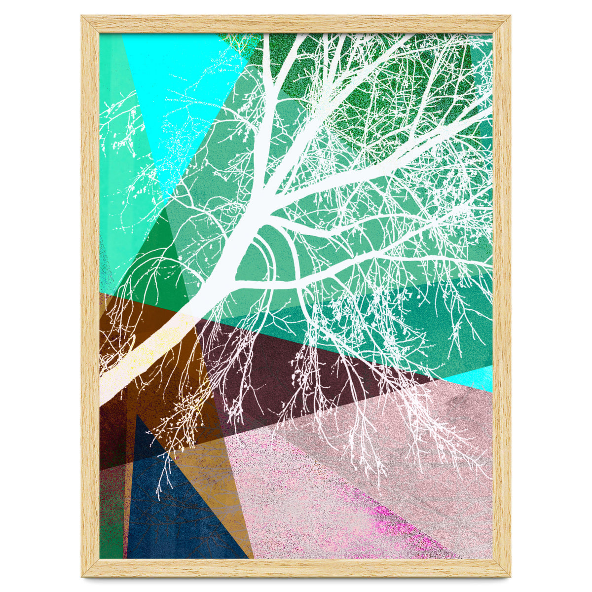 P16-H Trees And Triangles