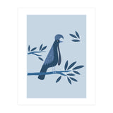 Umbrellabird (Print Only) thumbnail