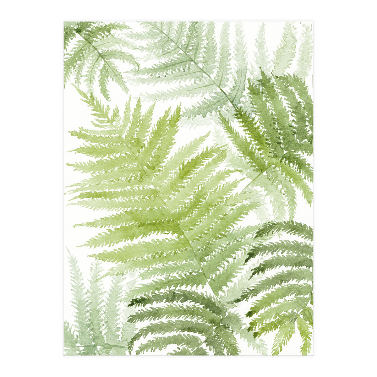 Samambaia  (Print Only)