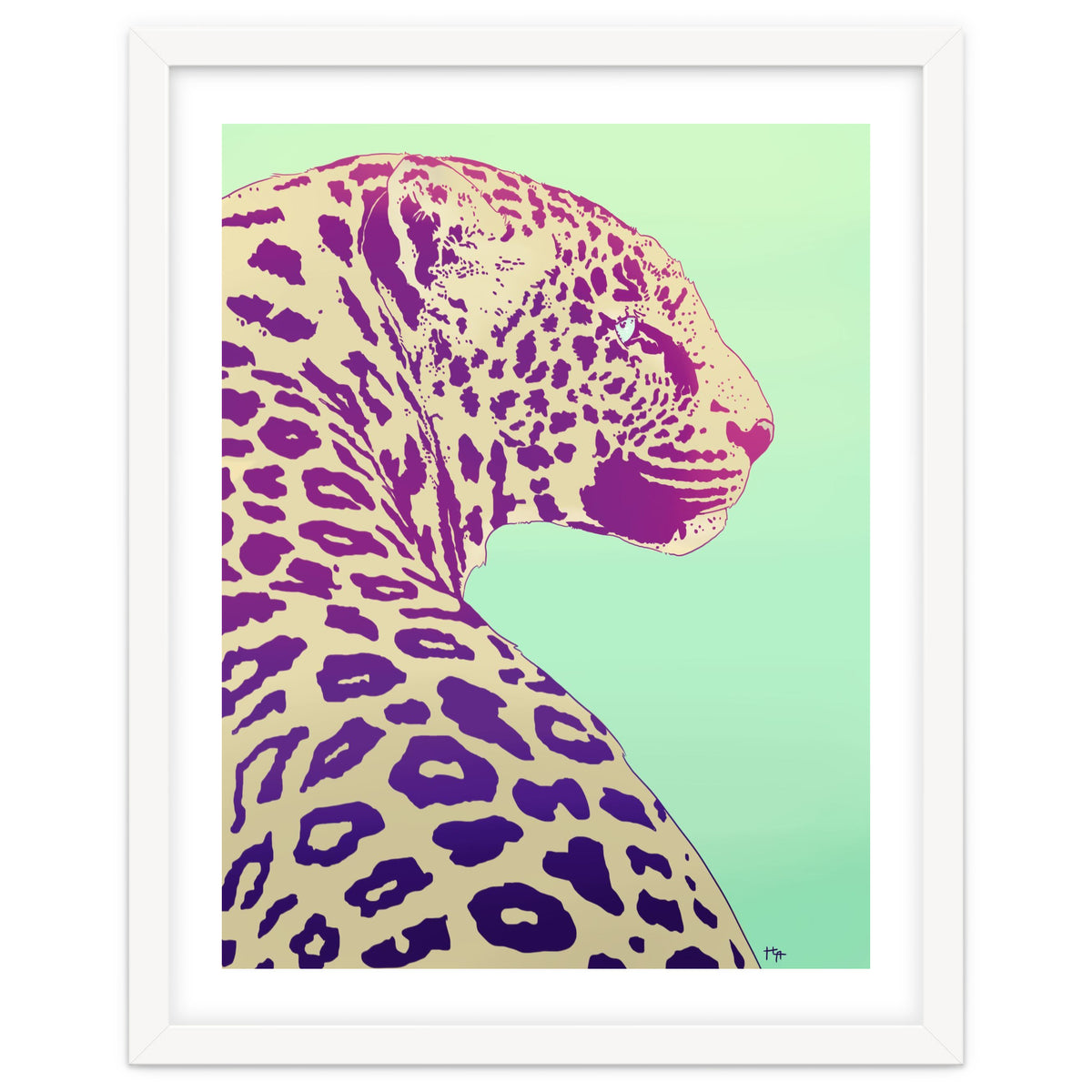 Leopard Under The Sun