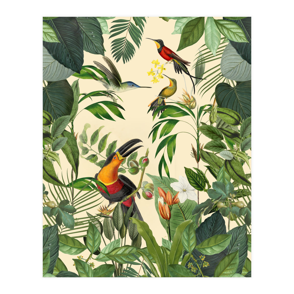 Green Jungle Toucans (Print Only)