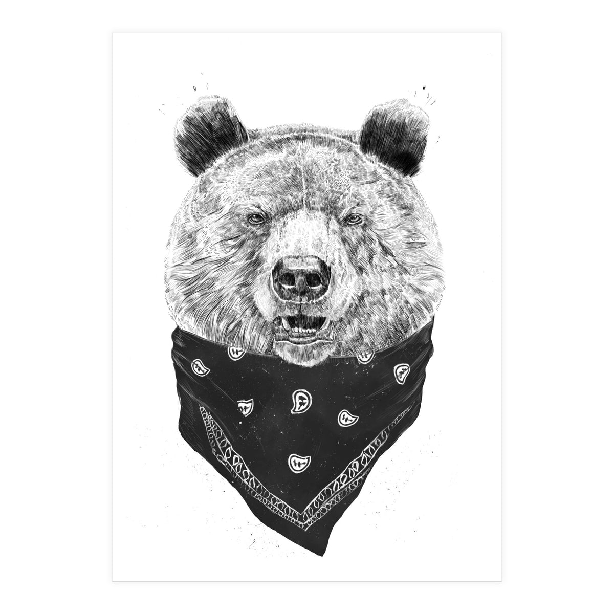 Wild Bear (Print Only)