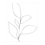 Five Leaf Plant (Print Only) thumbnail