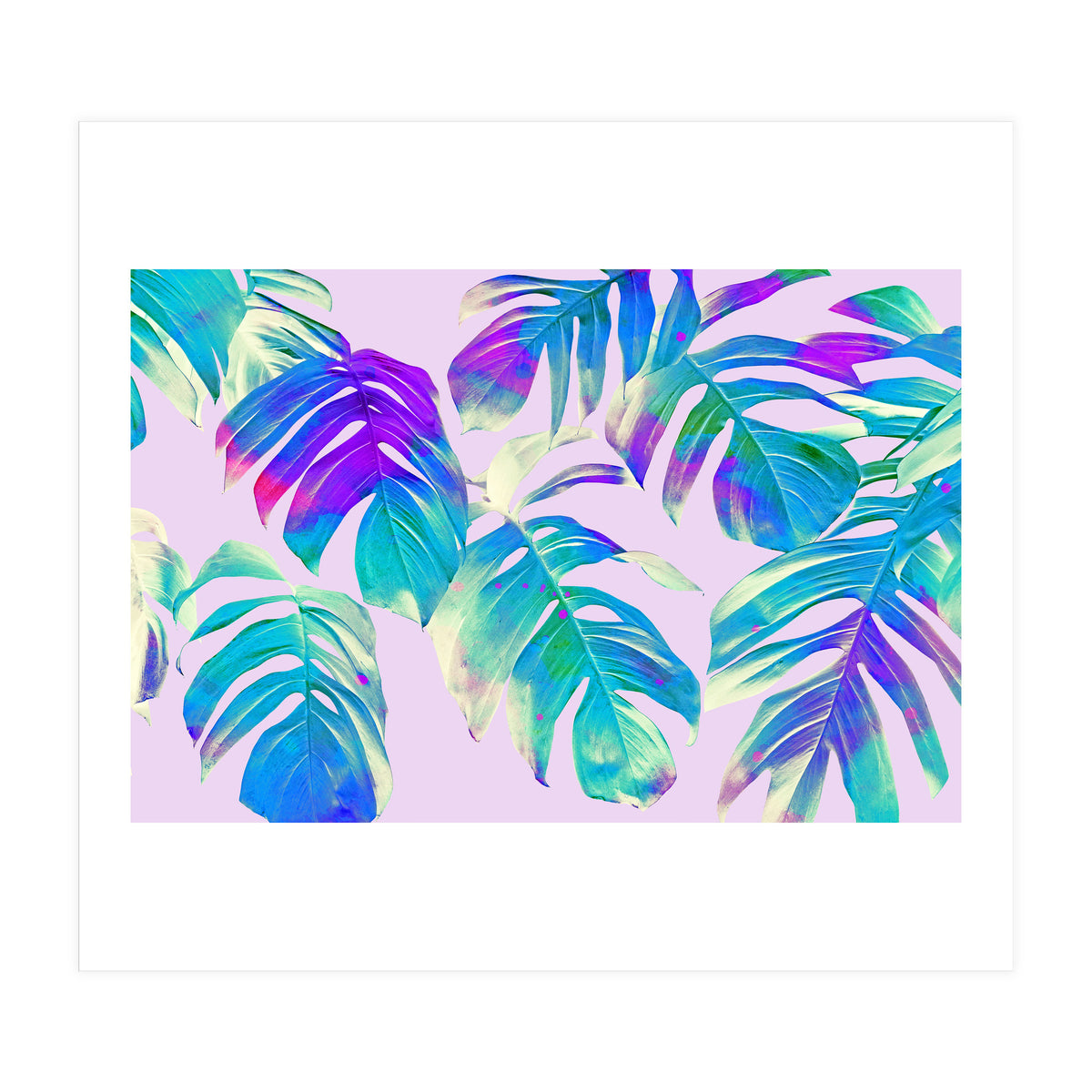 Monstera Leaves (Print Only)