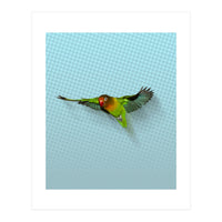 Flying lovebird (Print Only)