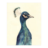 Peacock (Print Only) thumbnail