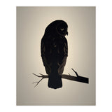 Owl Minimalist Picture (Print Only) thumbnail