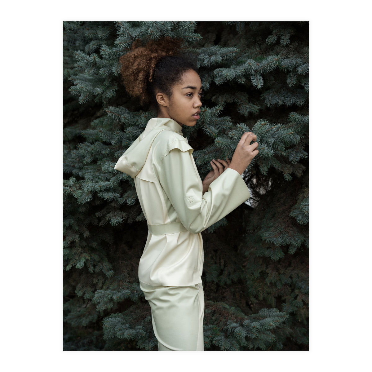 Smooth Confess (Print Only)