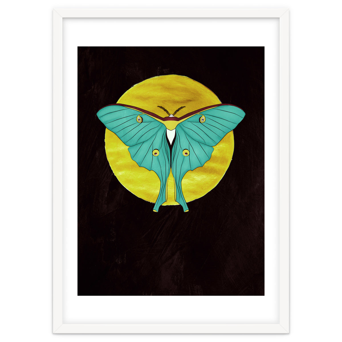 Luna Moth Moon