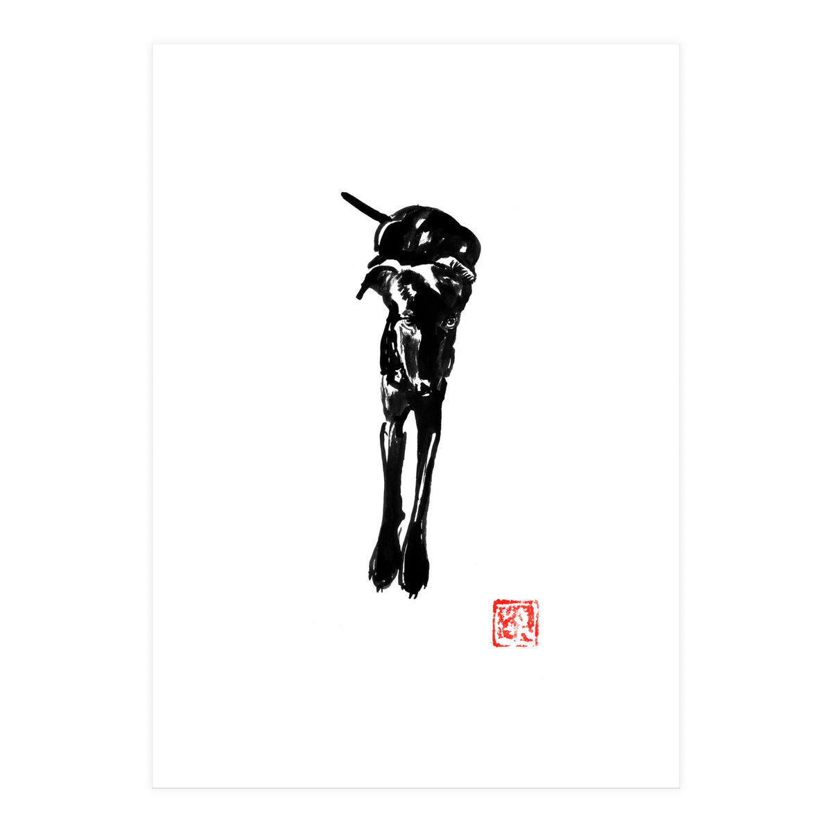 Balck Dog 02  (Print Only)