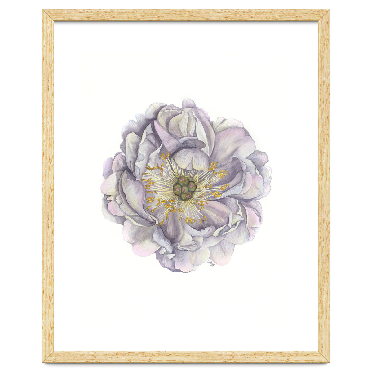 A Peony In Grey Std