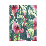 Wild Hibiscus (Print Only) thumbnail