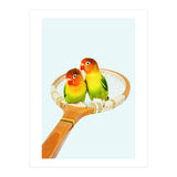 Retro Birds (Print Only) thumbnail