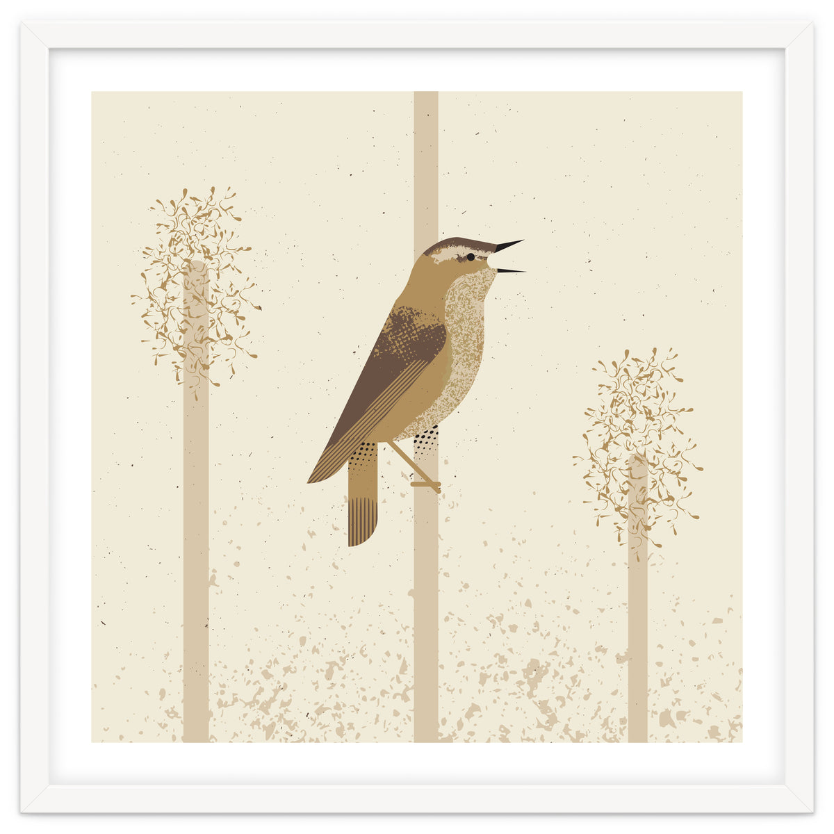 Sedge Warbler