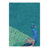 Perfect Peacock Turquoise Portrait (Print Only) thumbnail