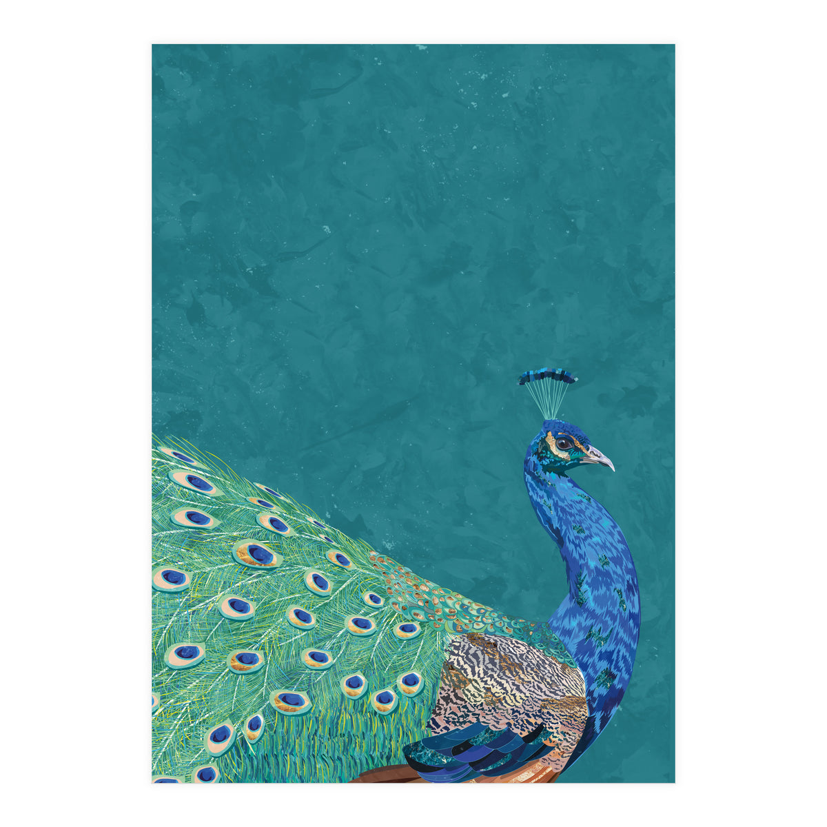 Perfect Peacock Turquoise Portrait (Print Only)