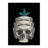 teschio (Print Only) thumbnail
