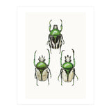 Cc Insects 04 (Print Only) thumbnail