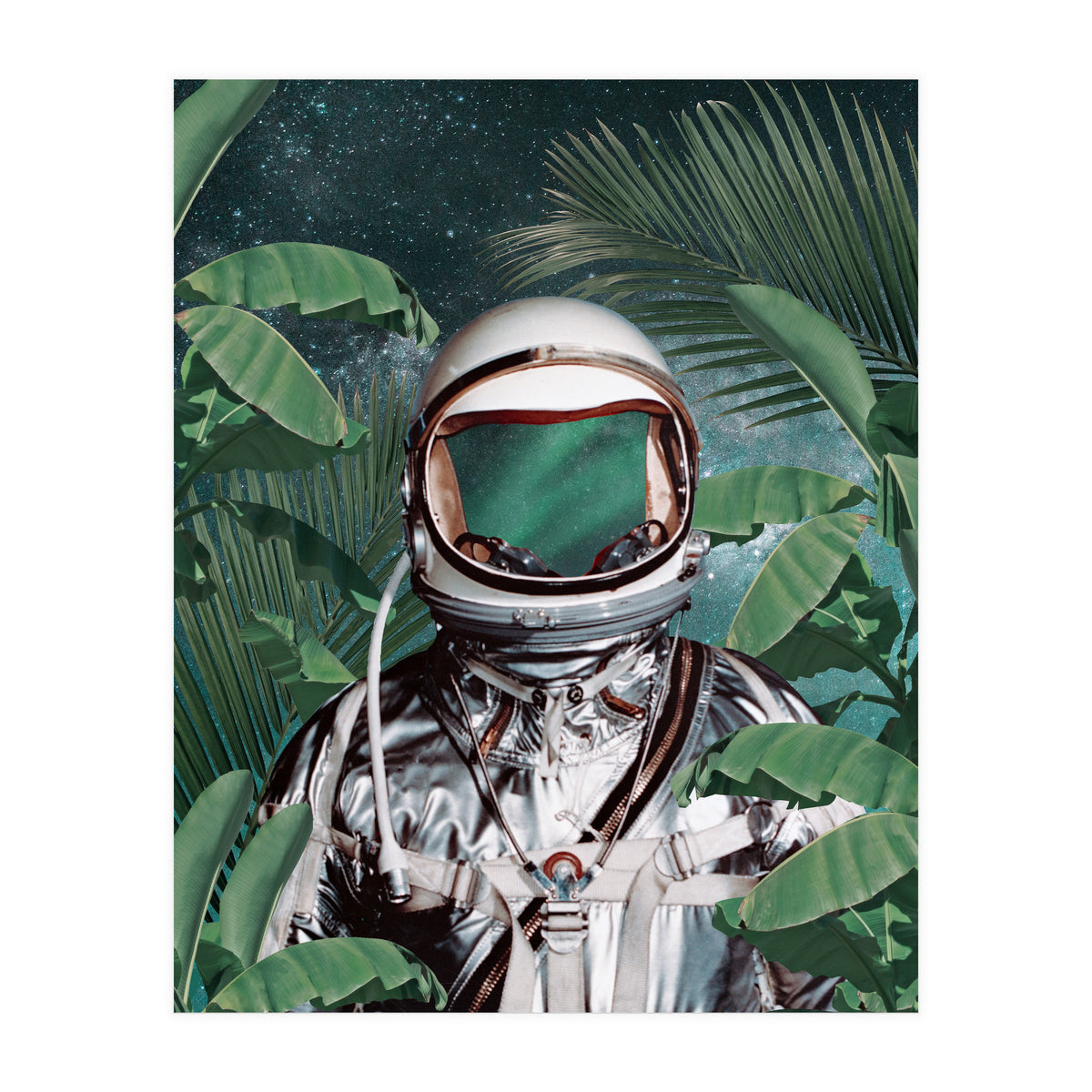 Paradise Found (Print Only)