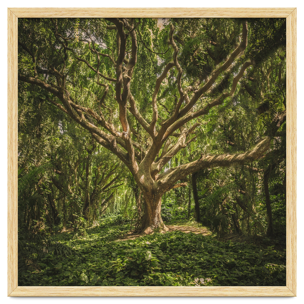 Spirits inside the wood