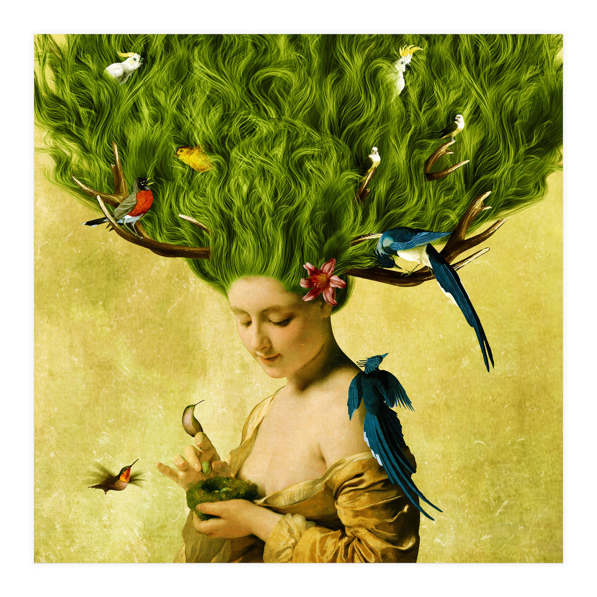 Safe Haven (Print Only)