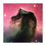 The Horsehead Nebula (Print Only) thumbnail