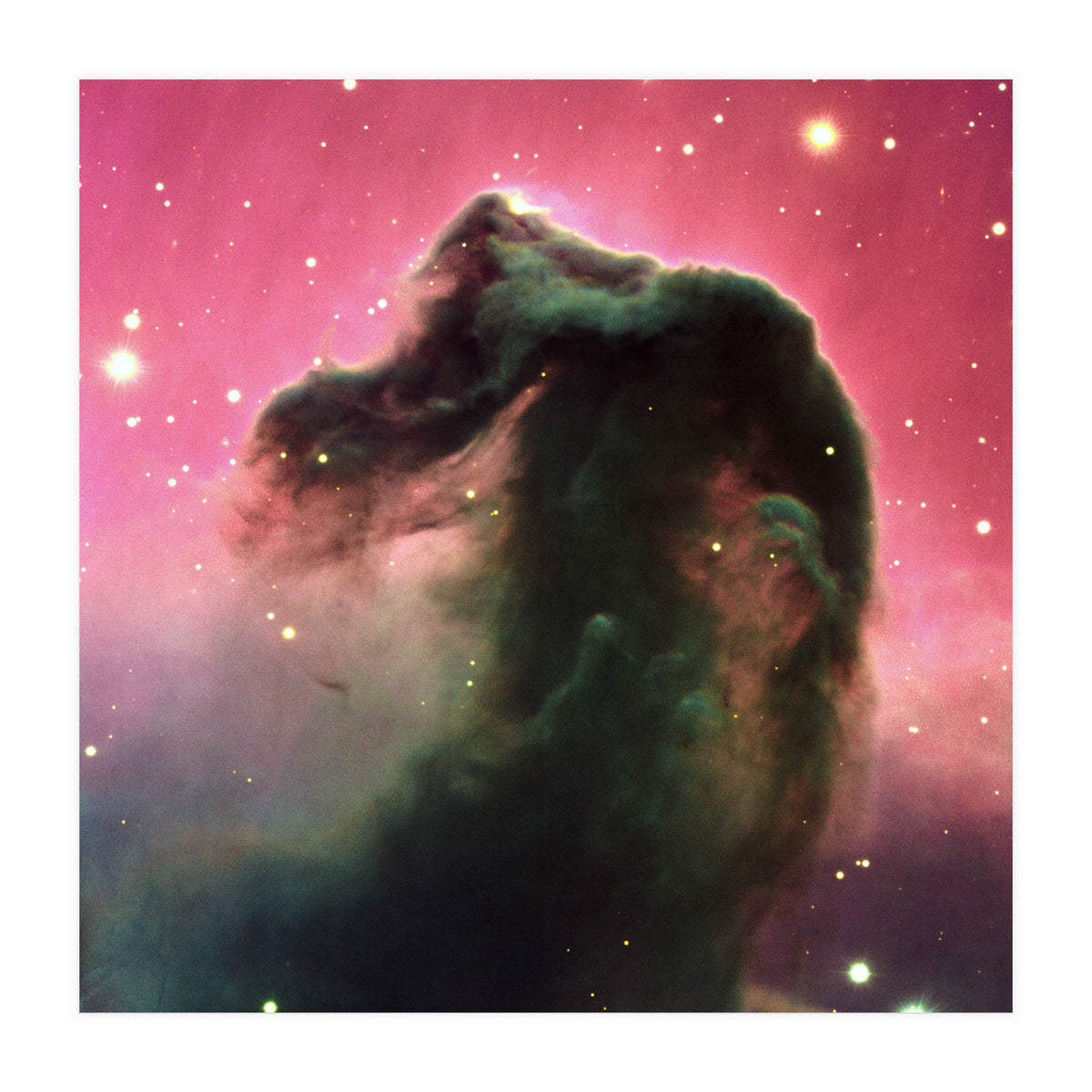 The Horsehead Nebula (Print Only)