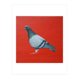 Pigeon (Print Only) thumbnail