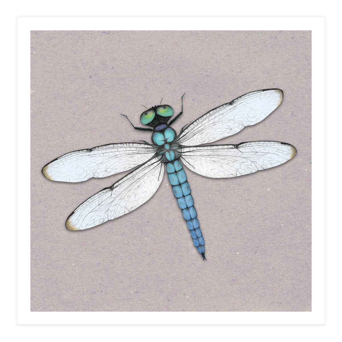 Blue dragonfly (Print Only)