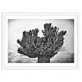 Cut down tree top thumbnail