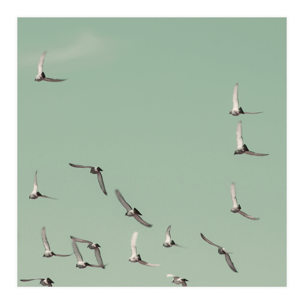 Mint Skies (Print Only)