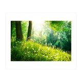 Nature (Print Only) thumbnail