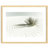 WHITE SANDS Idyllic scenery | Vintage