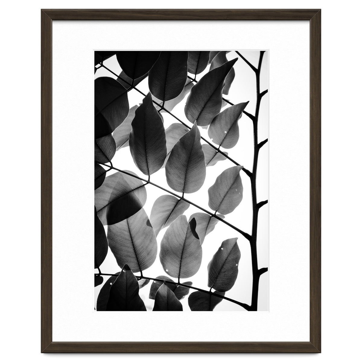 Branches and Leaves II