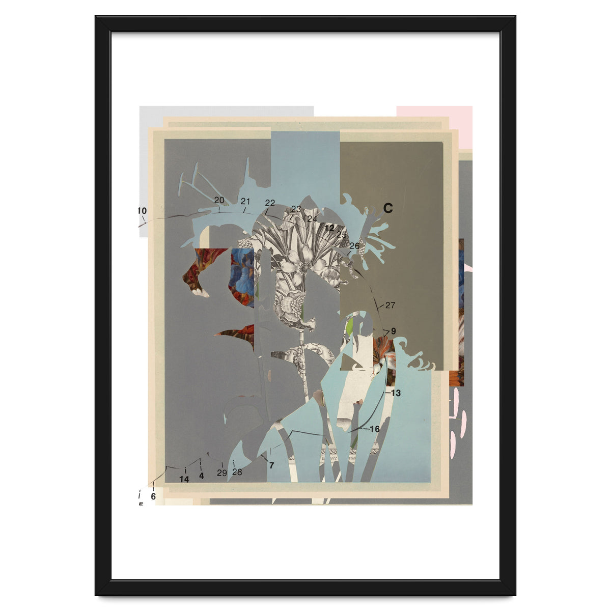 The First Plant · D