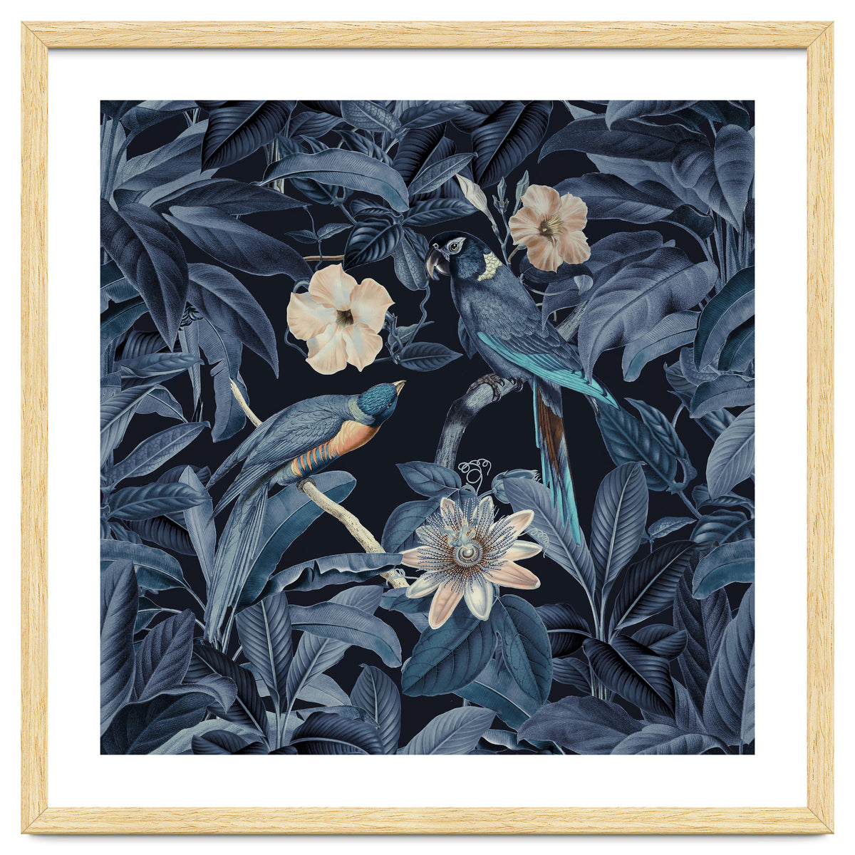 Exotic Jungle Birds At Night