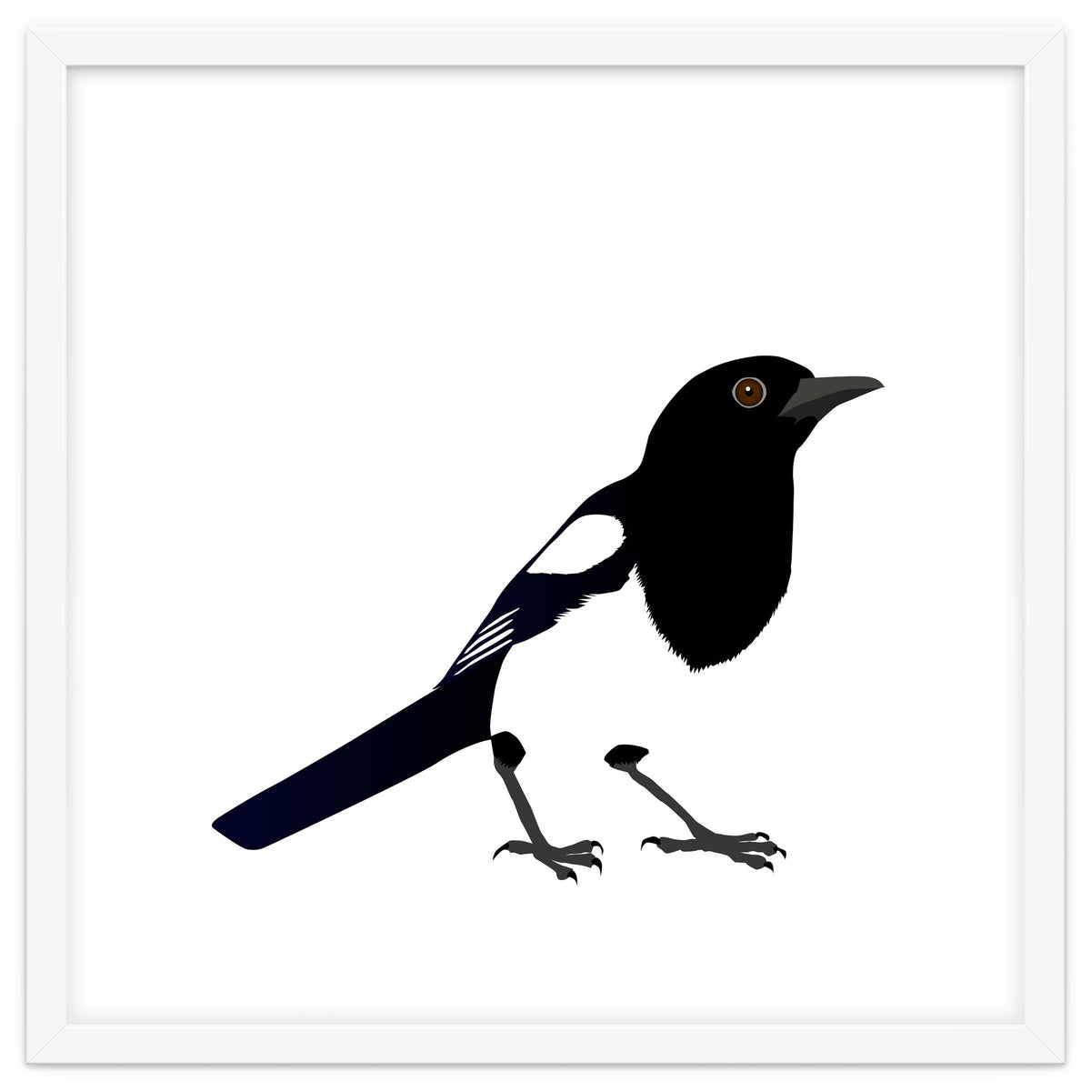 Magpie