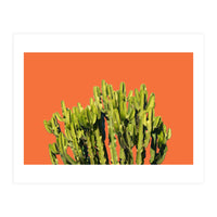 Bold Cactus (Print Only)