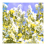 The Contrast Of Desire (Print Only) thumbnail