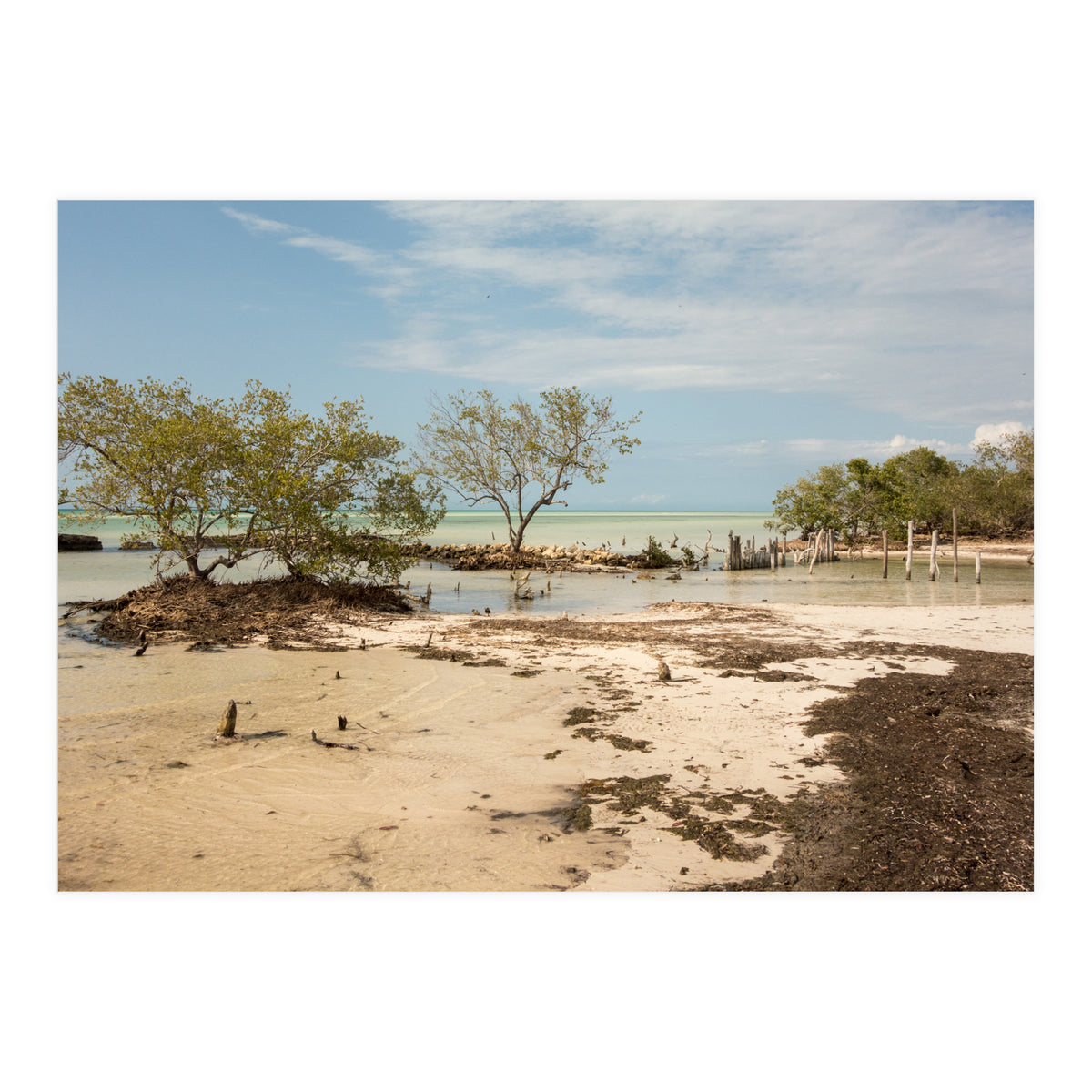 Yucatan beach (Print Only)