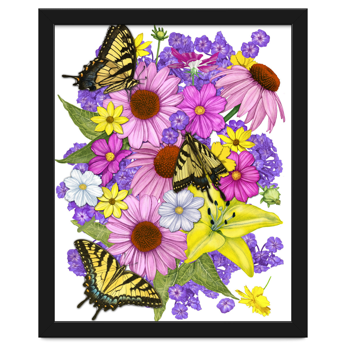 Corn Flowers and Swallowtails