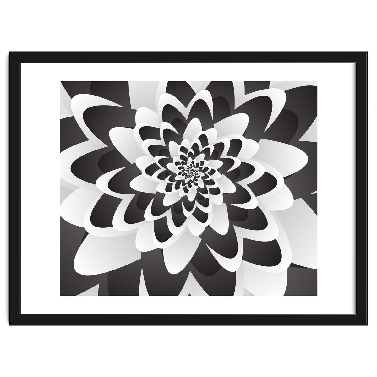 Mono Chrome Flower Spiral