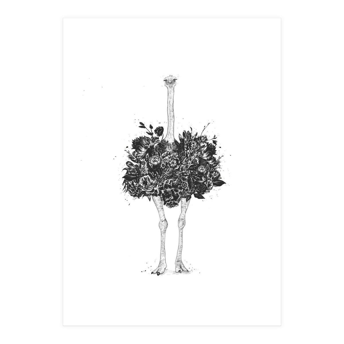 Floral Ostrich (Print Only)