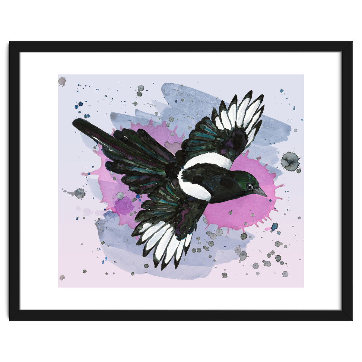 A watercolor drawing of a flying magpie